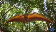 Jurássico Condor 
