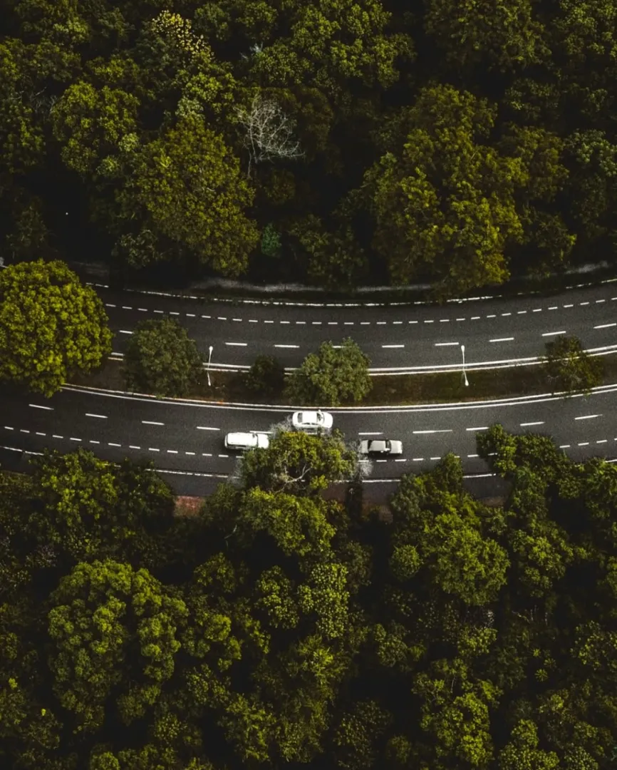 A avenida flui calma, com carros passando pela pista que sorri, contornada por árvores que dão vida à cidade.