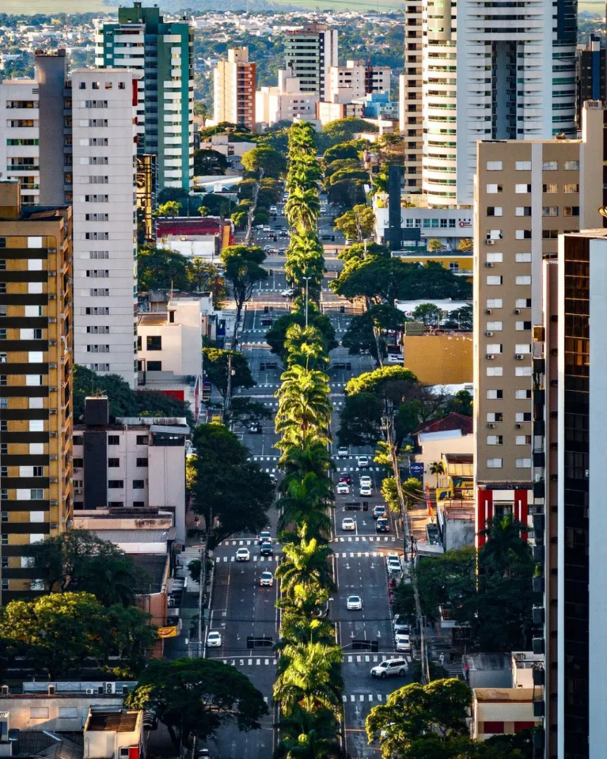 A avenida Paraná, uma das principais avenidas de Maringá. Conseguiu reconhecê-la nesta foto?