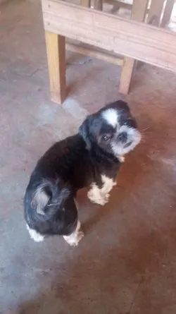Bahuan
