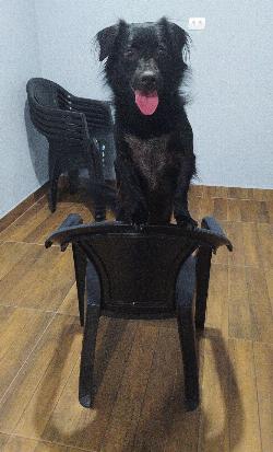 Bruce