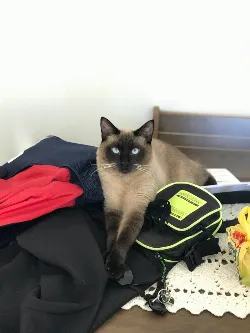 Frederico