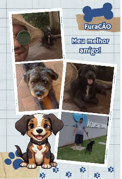 FuraCÃO