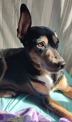Meg